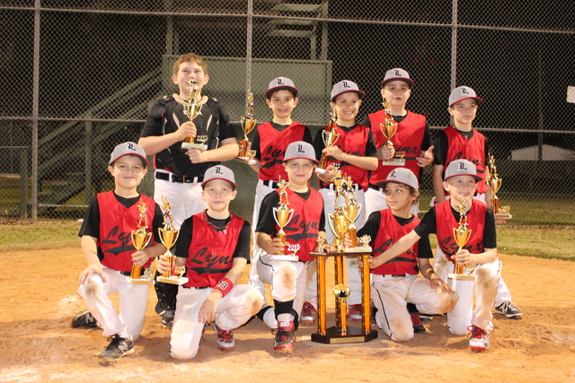 baseball-the-farm-league