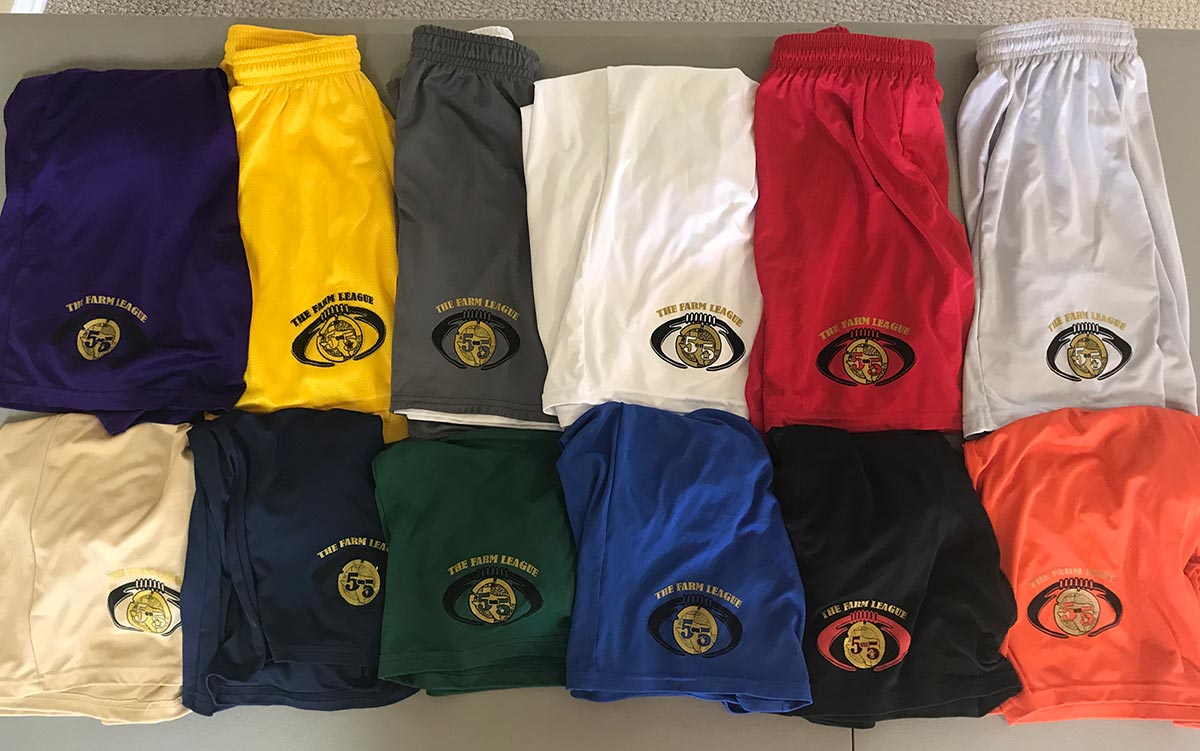 TFL Flag Shorts