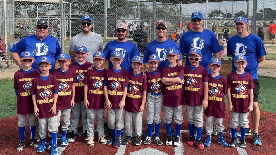Baseball  The Farm League