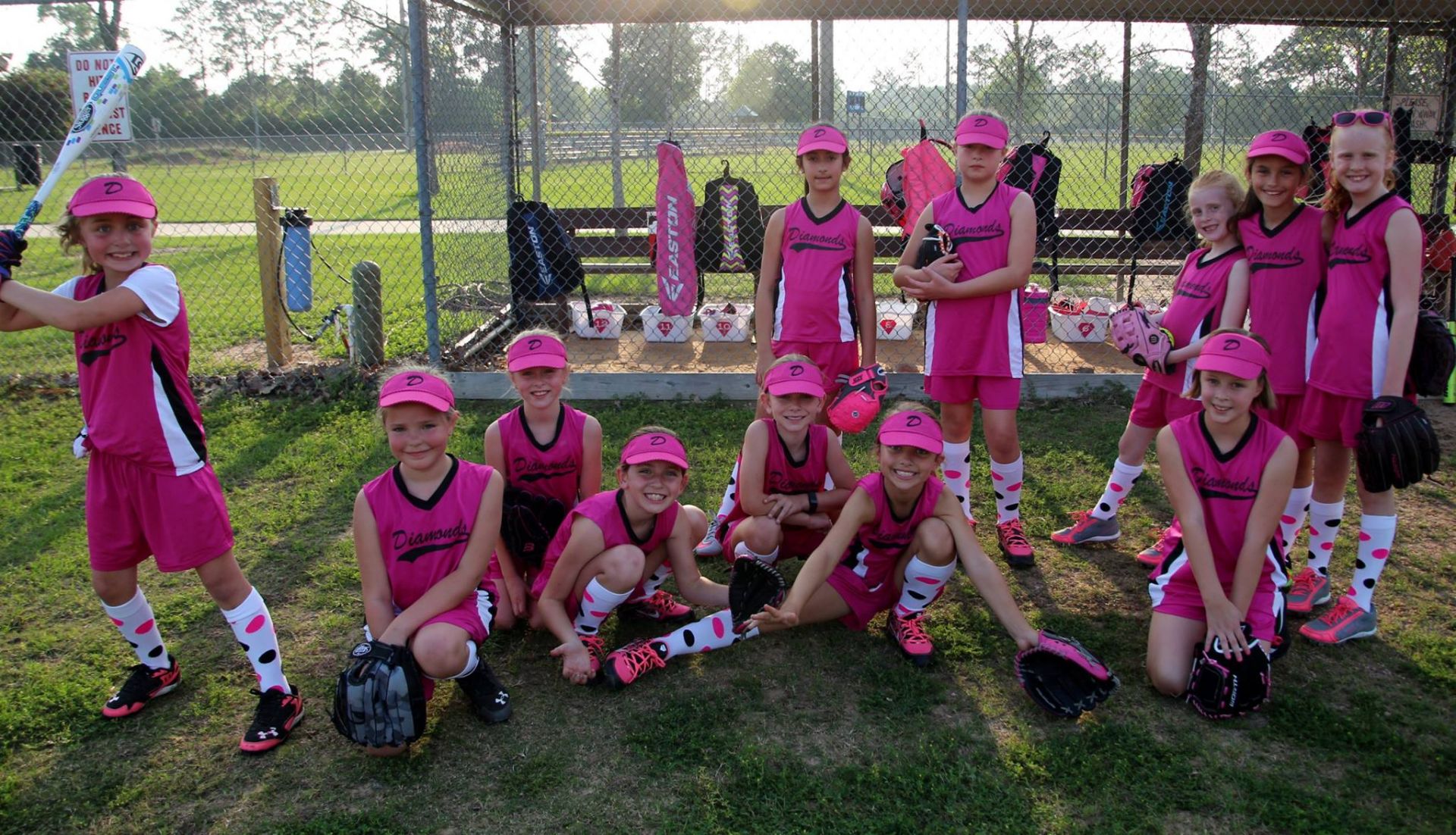 Softball The Farm League