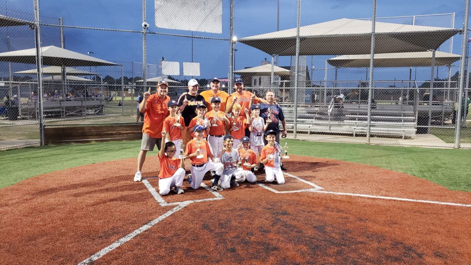 Baseball The Farm League